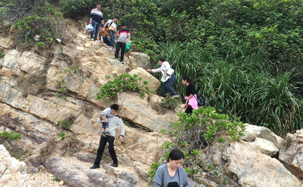 林上科技 林上科技